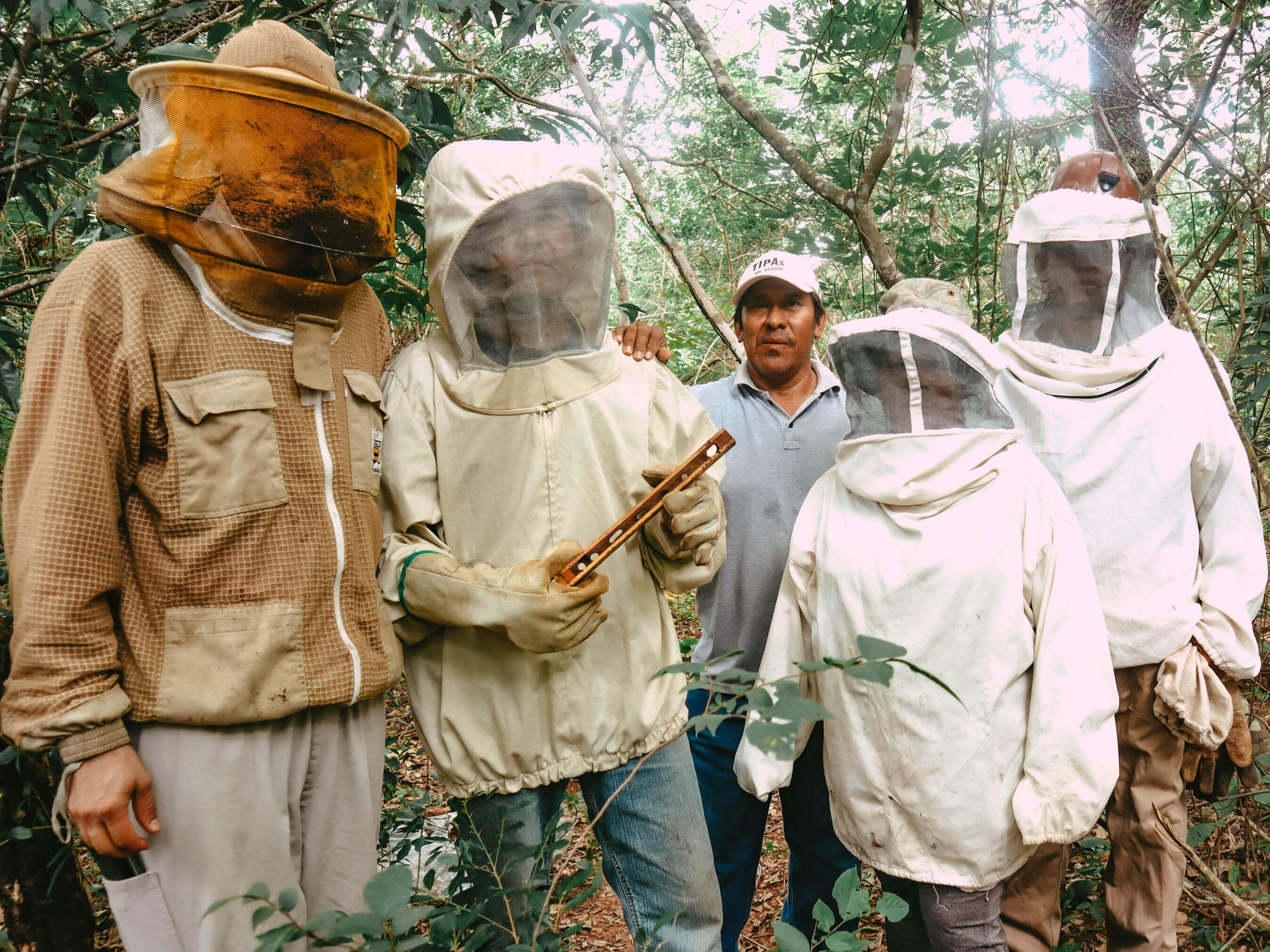 Social impact: technical supervision with Bolivian beekeeping associations